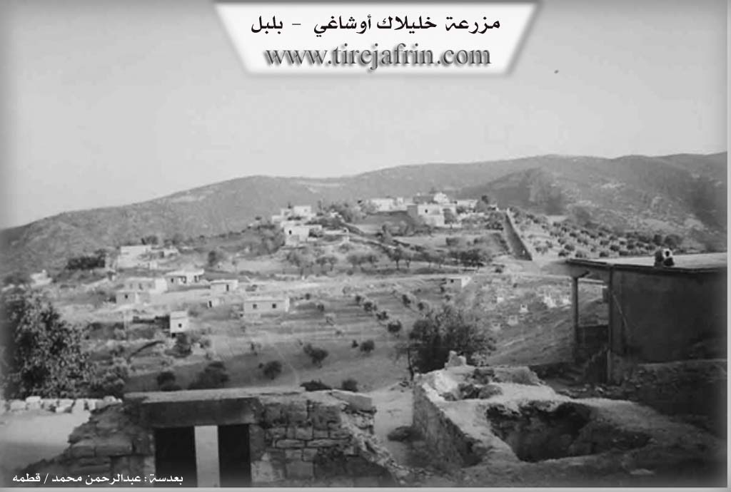 Photo of Xelîlaka